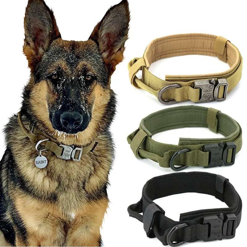 Dog Collar Zendrop