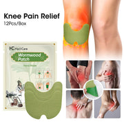 12pc/Bag Foot Neck Knee Waist Massage Stickers Wormwood Natural Plant Self-heating Relief Joint Ache Pain Cinnamon Ginger