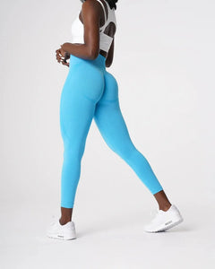 Seamless Contour Leggings DSers